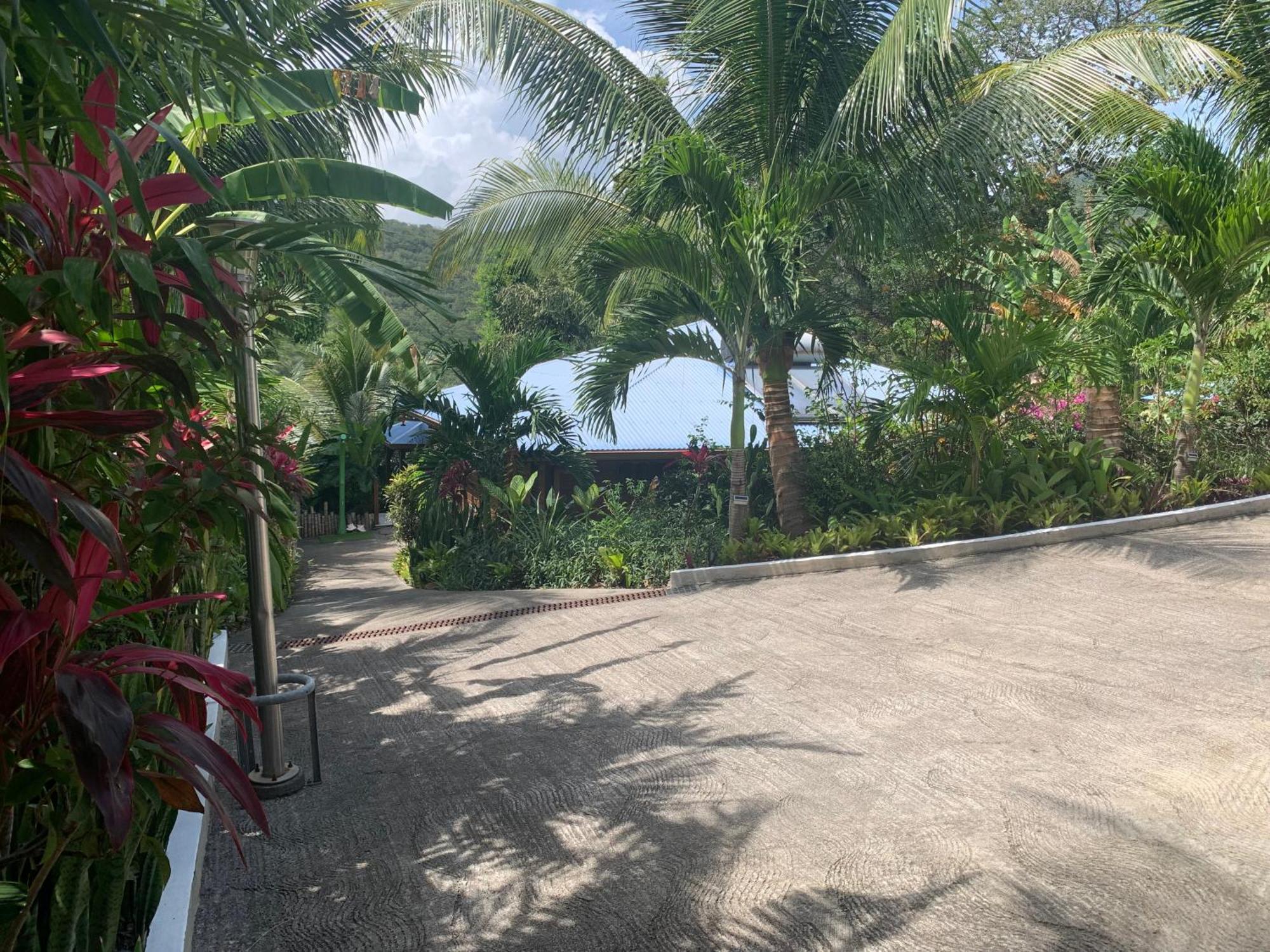 Les Ilets Caraibes Vue Mer ブイヤント エクステリア 写真