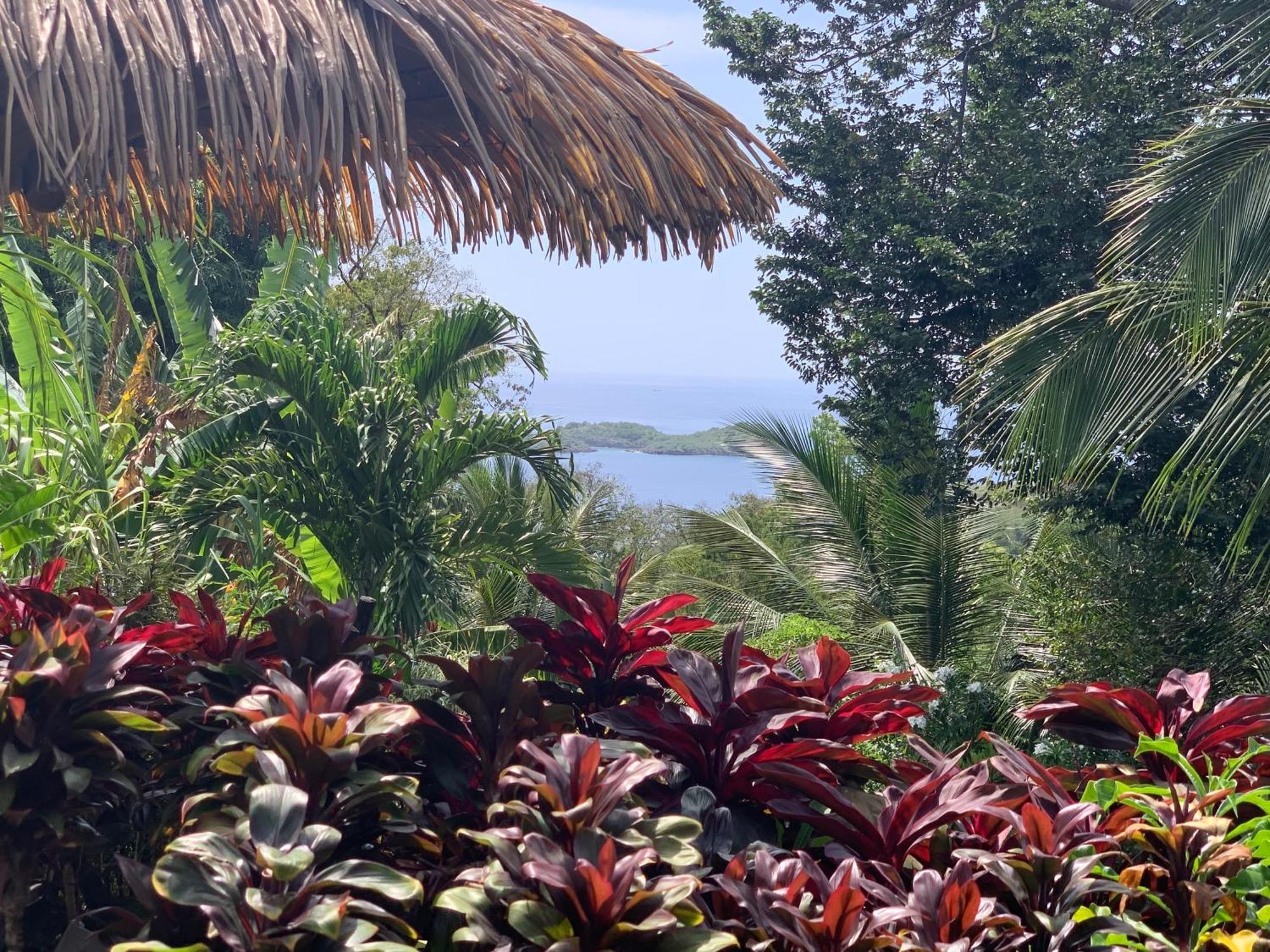 Les Ilets Caraibes Vue Mer ブイヤント エクステリア 写真